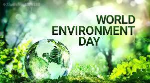 Read more about the article The Essential Role of the Environment in Our Lives.